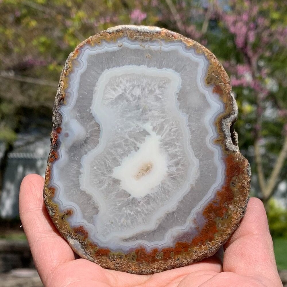 Vtg Geo Rock Sliced and Polished